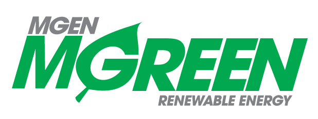 MGreen partners with Vena Energy for 68MWac solar project in Ilocos Norte