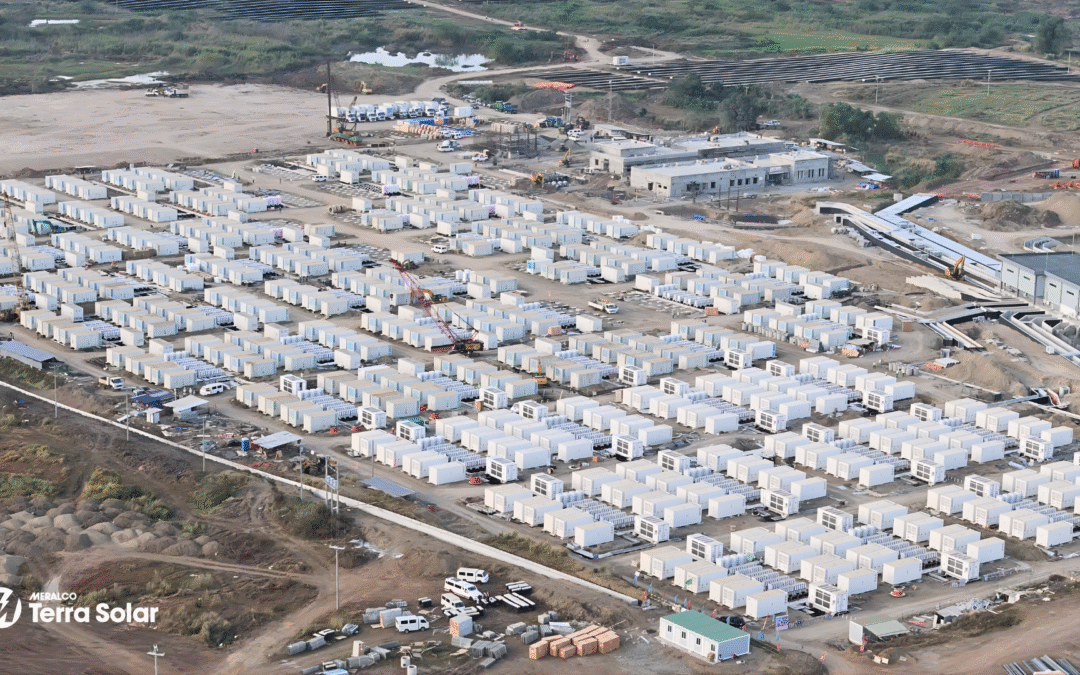 MTerra Solar Powers Up 250 MW,  Boosting Energy Supply Amid Global Volatility